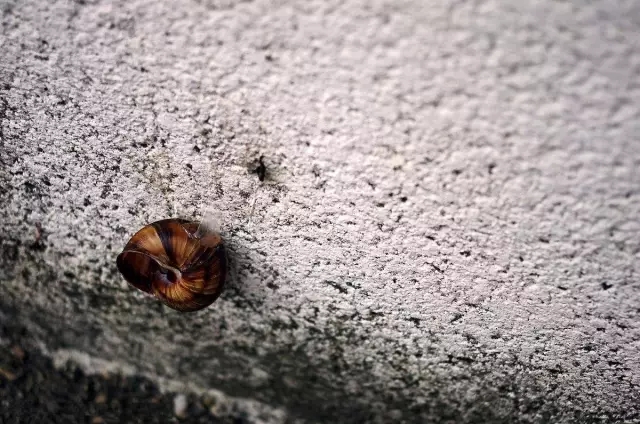 十分鐘閱讀 | 俞敏洪:為了自己而工作 十分鐘閱讀 | 俞敏洪:為了自己而工作