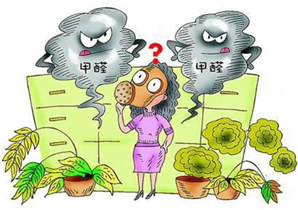 不知道除甲醛多少錢一平米?你就等著被坑吧! 不知道除甲醛多少錢一平米?你就等著被坑吧!