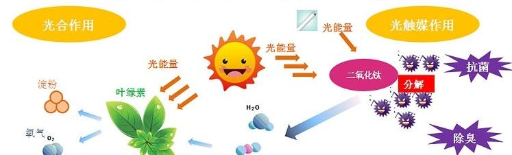 甲醛治理用什么辦法最正確?這三點(diǎn)常見(jiàn)的除甲醛辦法其實(shí)是誤區(qū) 甲醛治理用什么辦法最正確?這三點(diǎn)常見(jiàn)的除甲醛辦法其實(shí)是誤區(qū)