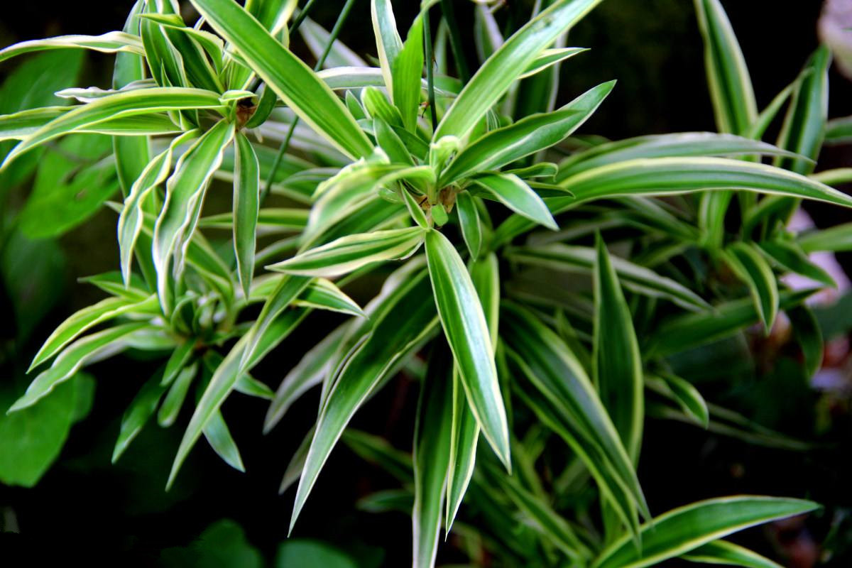 室內沒有味道就可以放心入住了嗎？