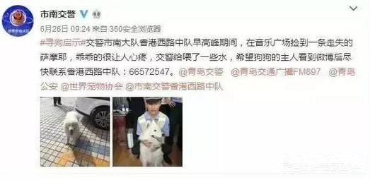 有問題找警察，薩摩耶派出所報案，不注意這件事，對狗狗致命，警察蜀黍卻幫不上忙！