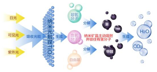 洋蔥可以除甲醛?民間流傳土方法可信嗎? 洋蔥可以除甲醛?民間流傳土方法可信嗎?