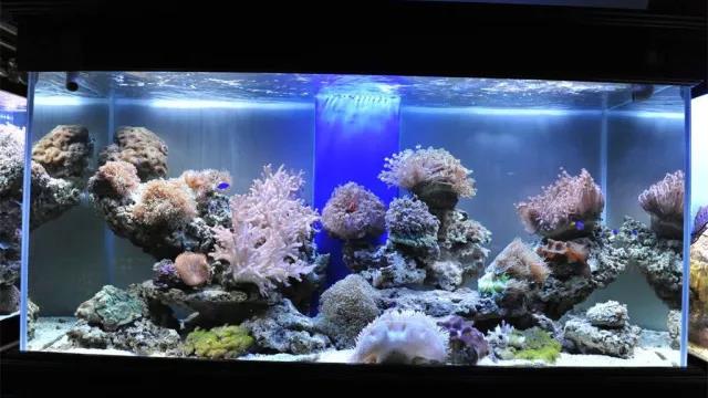 家中旺位和衰位在哪里?三分鐘學習室內風水學 家中旺位和衰位在哪里?三分鐘學習室內風水學