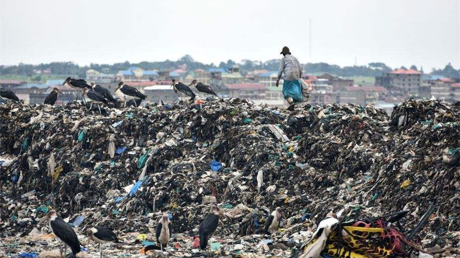 健康四月,環保政策搶先看! 健康四月,環保政策搶先看!