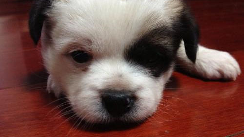 床墊薄膜要撕嗎？不僅要撕還要除甲醛！