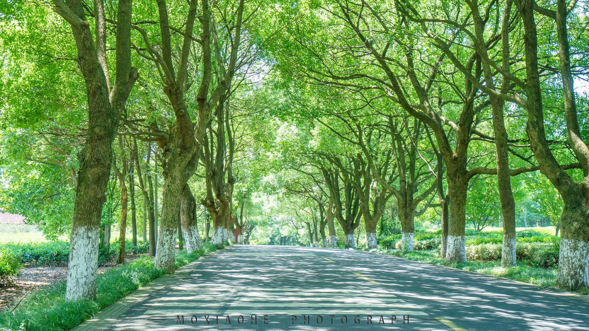 #助力高考# 保存好你的高考準考證,創綠家送您安“醛”一夏! #助力高考# 保存好你的高考準考證,創綠家送您安“醛”一夏!