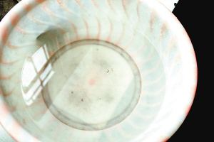 疫苗事件背后:您是否想過除甲醛產品也存在無效情況? 疫苗事件背后:您是否想過除甲醛產品也存在無效情況?