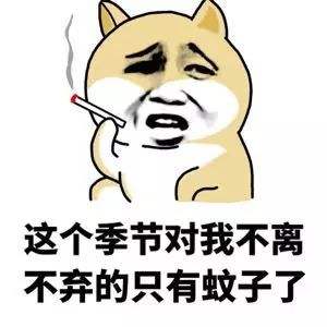 成分中有甲醛蚊香立馬變毒香,甚至還會致癌…… 成分中有甲醛蚊香立馬變毒香,甚至還會致癌……