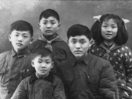 給家人***的禮物，不止是陪伴，還有室內空氣健康！