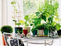 裝修6個月后的甲醛污染最嚴重,聞不到不代表沒污染