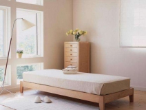 空氣凈化器會取代甲醛治理公司嗎?