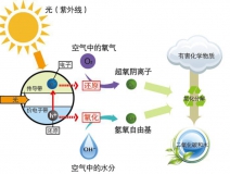 好的光觸媒甲醛治理產(chǎn)品需要具備什么核心?