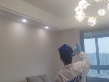 偏方真的能除甲醛嗎?