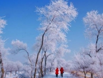 如何解決冬季室內和車內環境污染問題的問題呢？