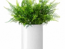 除了找除甲醛公司尋求幫助,還有什么辦法可以去毒