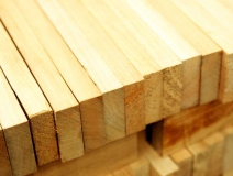 家長們集體發聲：不要打著“環保”的旗子對孩子痛下毒手！