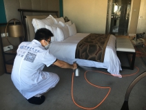 如何使用光觸媒除甲醛,以及它的原理是什么