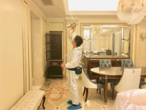 甲醛治理的優勢體現在哪里?