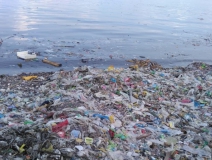 現代人生活節奏過快，卻導致環境空氣污染越來越嚴重