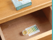 室內除甲醛主要就是這三步,做好了無污染!