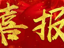 搖一搖除甲醛魔球被評定為省級工業(yè)新產(chǎn)品(新技術(shù))