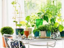 90%的家庭都甲醛超標?所以要盡快找一家專業的除甲醛公司