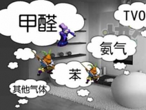 怎樣有效去除甲醛?