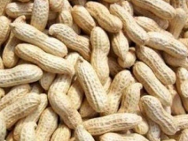 水煮花生含甲醛?實(shí)測多家燒烤店結(jié)果太可怕!