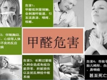 哪些綠植可以除甲醛?