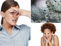 家里有異味怎么辦?科學除味、治理甲醛就對了!