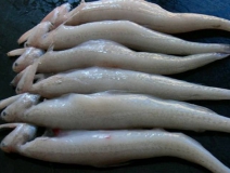 黑心商家添加甲醛讓蝦蟲孱“保鮮”?