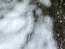 寒冷將至,凈化室內空氣,減少污染,做好這幾點就夠了!