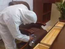 甲醛治理有什么樣的方法?