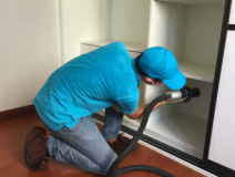 室內除甲醛有哪些方法比較好?