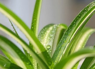 室內(nèi)空氣治理重要嗎? 室內(nèi)空氣治理重要嗎?