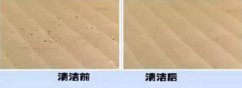 南京美女睡了10年的床墊,掀開后把全家人都嚇傻了…… 南京美女睡了10年的床墊,掀開后把全家人都嚇傻了……