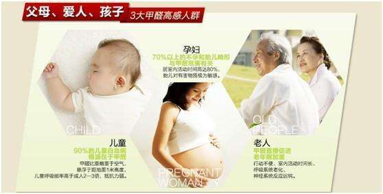 甲醛治理 甲醛治理