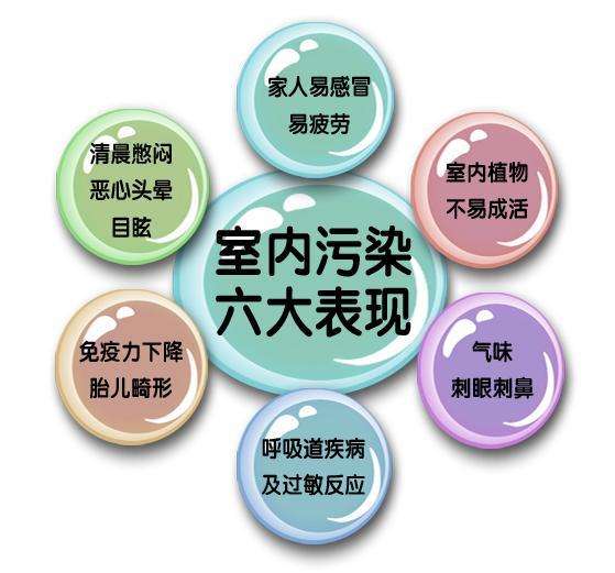 除甲醛 除甲醛