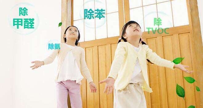 識別室內空氣污染的味道 識別室內空氣污染的味道