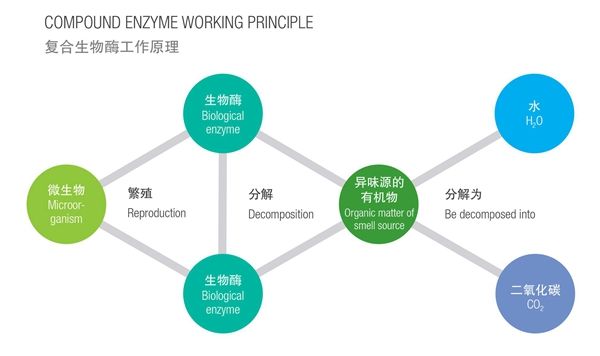 生物酶除甲醛 生物酶除甲醛