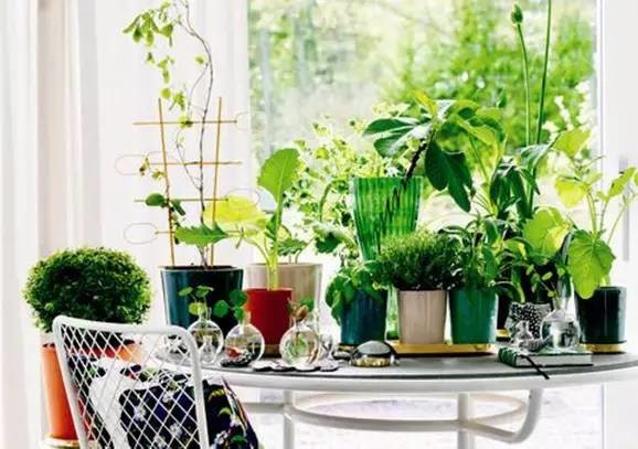 甲醛超標怎么辦 甲醛超標怎么辦