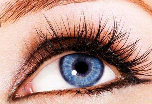 假睫毛 假睫毛