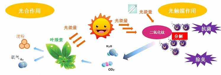 家中甲醛超標,什么才是甲醛治理的正確姿勢? 家中甲醛超標,什么才是甲醛治理的正確姿勢?