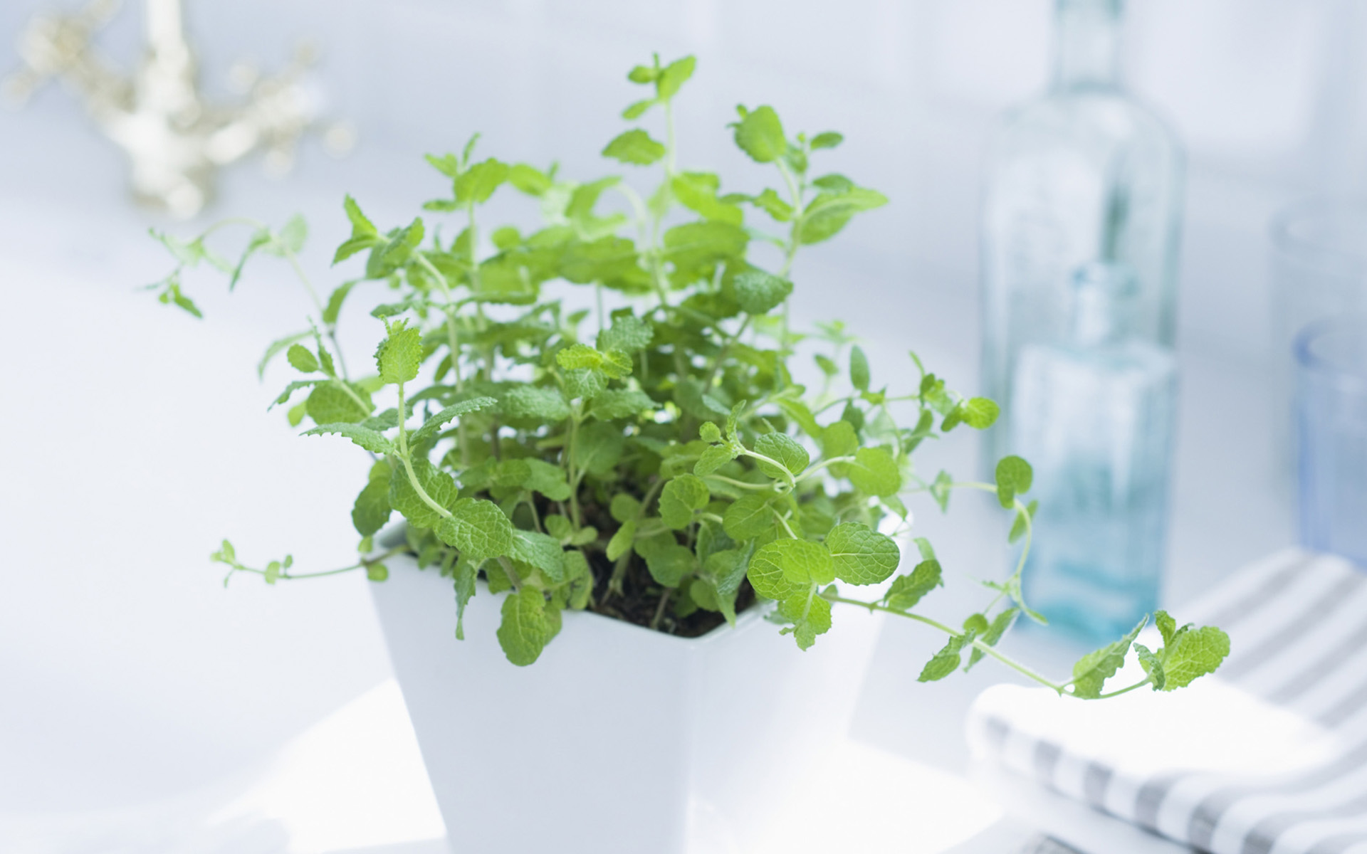 央視***主持人朱迅因癌癥離開(kāi)大屏幕,這7個(gè)壞習(xí)慣最容易得癌癥! 央視***主持人朱迅因癌癥離開(kāi)大屏幕,這7個(gè)壞習(xí)慣最容易得癌癥!